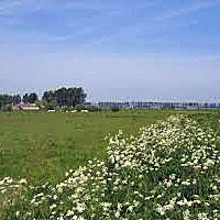 Opsomm_foto_Havenpolder