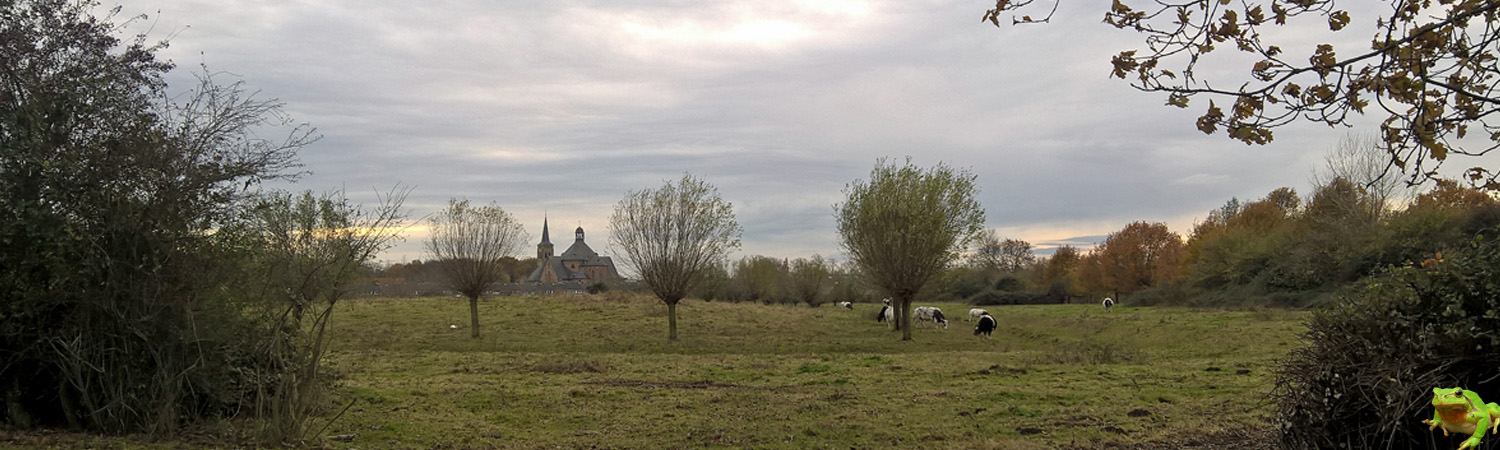 Sjabloon_headerfoto_landsch_nat