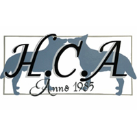 HCA